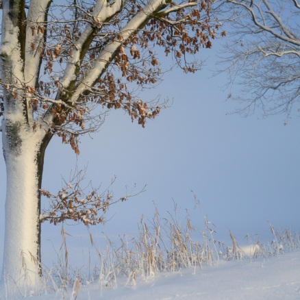 Steuerung-Pult Bühne mieten
